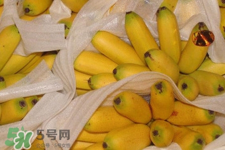 皇帝蕉是不是香蕉？皇帝蕉與普通香蕉區(qū)別