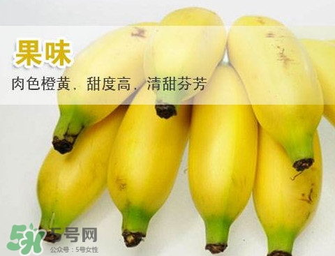 皇帝蕉多少錢一斤？2017皇帝蕉價(jià)格