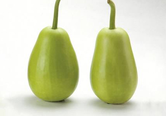 苦瓠子有毒嗎？苦瓠子中毒怎么辦？