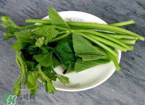 南瓜葉怎么處理？南瓜葉怎么炒？