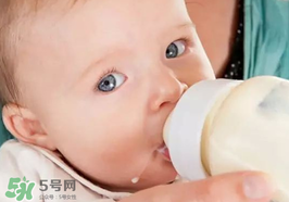 世界一線的奶粉品牌有哪些？全球一流的品牌奶粉有哪些？
