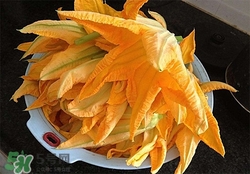 南瓜花有什么作用？南瓜花的作用及禁忌