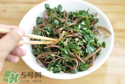 螞蚱菜怎么吃？螞蚱菜怎么做好吃