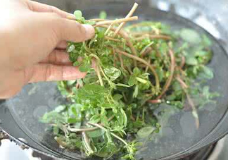 螞蚱菜能生吃嗎？螞蚱菜可以生吃嗎