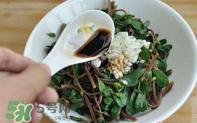 螞蚱菜怎么炒好吃？螞蚱菜做法有哪幾種