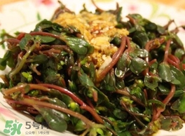 螞蚱菜怎么炒好吃？螞蚱菜做法有哪幾種