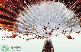 運動后可以喝可樂嗎？運動后喝可樂會胖嗎？