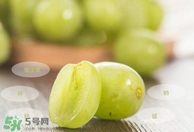 青提怎么保存？青提可以放冰箱嗎？