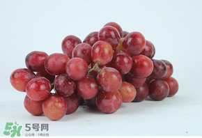 紅提多少錢一斤？紅提子多少錢一斤？