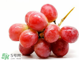紅提可以放冰箱嗎？紅提放冷庫怎么保存？