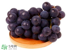 巨峰葡萄幾月份成熟？巨峰葡萄什么時(shí)候成熟？