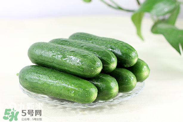 水果黃瓜常溫能放多久？水果黃瓜怎么保存？