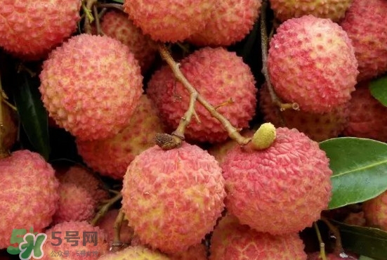 從化荔枝品種有哪些？從化哪里可以摘荔枝