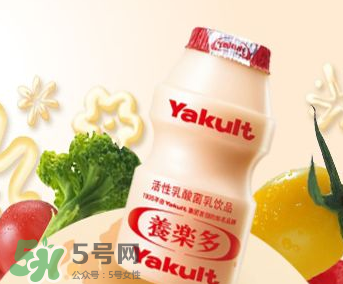 養(yǎng)樂(lè)多能自制嗎？自制養(yǎng)樂(lè)多的方法
