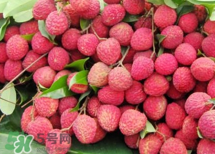 增城荔枝節(jié)是什么時候？2017年增城荔枝節(jié)時間