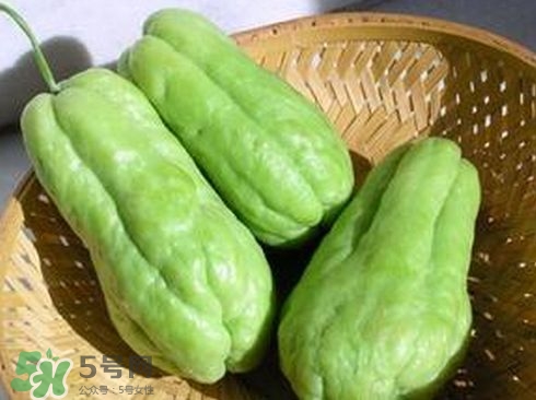 佛手瓜發(fā)芽了可以吃嗎？佛手瓜怎么吃？