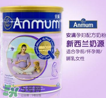 安滿和惠氏孕婦奶粉哪個好？安滿和惠氏孕婦奶粉的區(qū)別