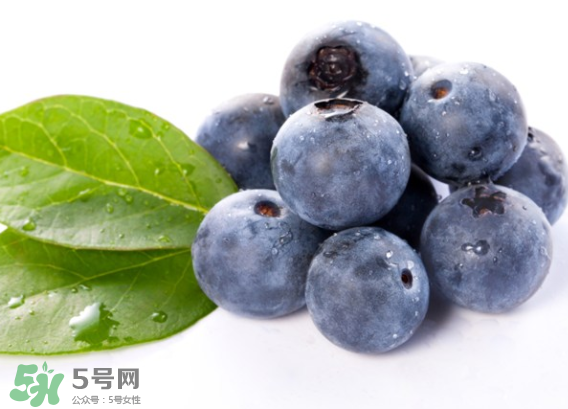 藍(lán)莓是什么顏色？藍(lán)莓泡水什么顏色？