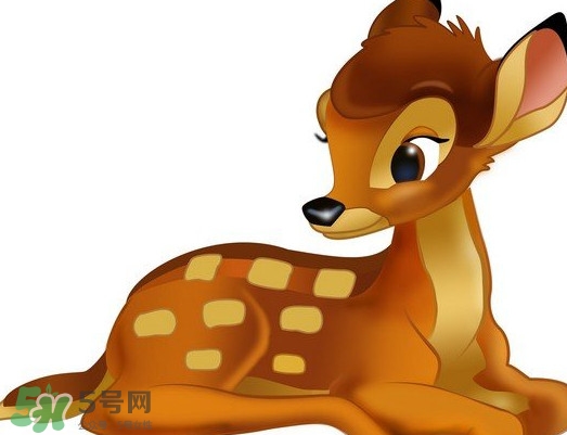 斑比跪是什么意思？斑比跪是什么坐勢