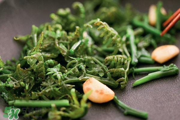 龍須菜怎么清洗？龍須菜怎么處理？