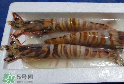 竹節(jié)蝦該怎么吃？竹節(jié)蝦怎么處理干凈