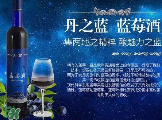 藍莓酒多少錢一瓶？藍莓王酒多少錢一瓶？