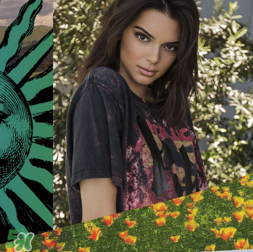 kendall kylie2017復(fù)古系列短袖t恤怎么樣_好看嗎_款式有哪些？