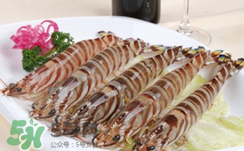 九節(jié)蝦多少錢一斤？九節(jié)蝦跟基圍蝦是一個品種嗎