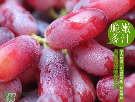 無(wú)籽紅提有涂避孕藥嗎？無(wú)籽紅提是轉(zhuǎn)基因嗎？