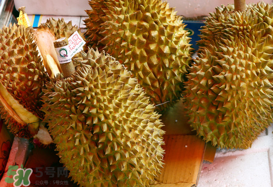 托曼尼榴蓮怎么才是熟？托曼尼榴蓮怎么看生熟？