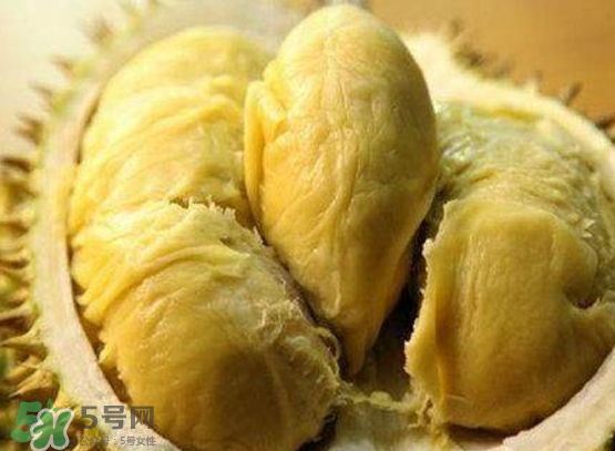托曼尼榴蓮多少錢？托曼尼榴蓮是哪里的？