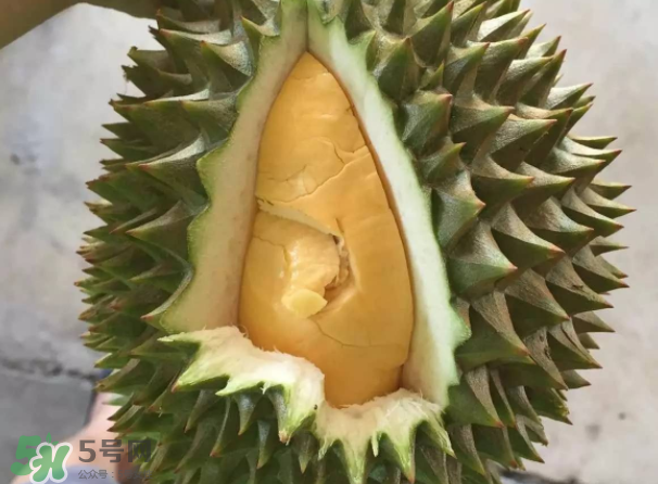 托曼尼榴蓮又叫什么？托曼尼榴蓮簡(jiǎn)介
