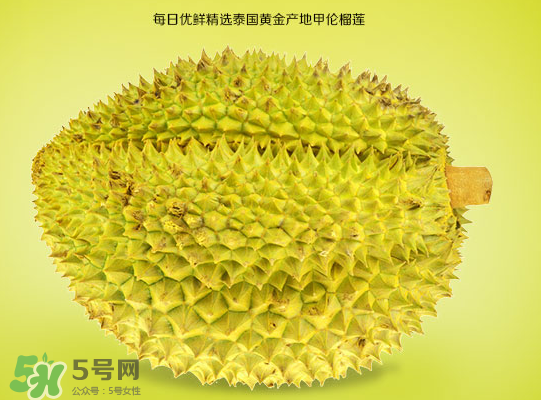 甲侖榴蓮和金枕哪個貴？甲侖榴蓮和金枕的區(qū)別