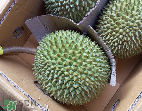 干堯榴蓮怎么樣算熟了？干堯榴蓮怎么挑選？