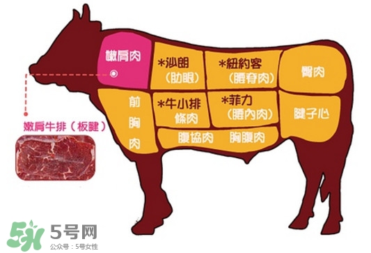 牛排是牛的哪個(gè)部位？牛排是牛身上哪塊肉？