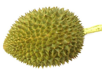托曼尼榴蓮多少錢？托曼尼榴蓮是哪里的？