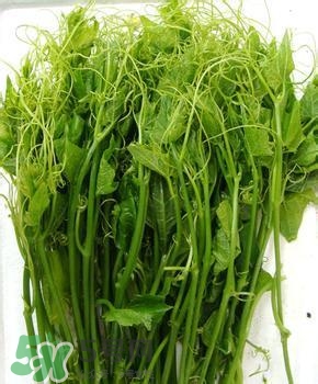 龍須菜有幾種？龍須菜多少錢(qián)一斤？