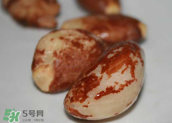 榴蓮核可以煲湯嗎？榴蓮核可以煲雞湯嗎？
