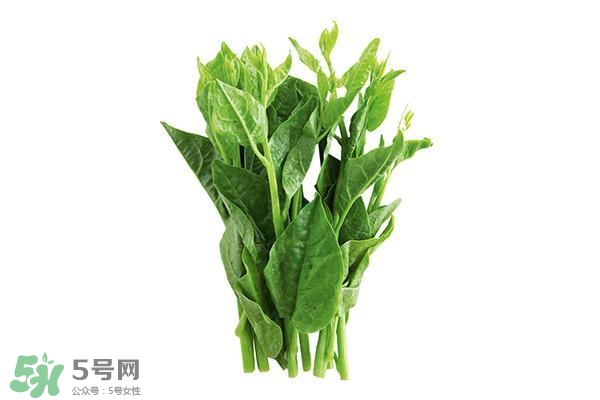 龍須菜有幾種？龍須菜多少錢(qián)一斤？