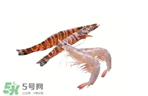 如何區(qū)分基圍蝦和竹節(jié)蝦？竹節(jié)蝦和基圍蝦的區(qū)別
