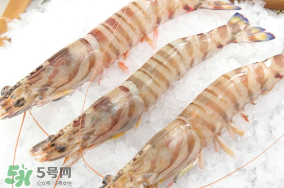 竹節(jié)蝦是海里的嗎？竹節(jié)蝦是海蝦還是河蝦