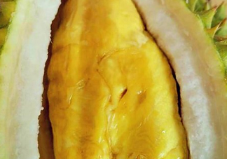 甲倫榴蓮幾月份成熟？泰國(guó)甲倫榴蓮多少錢一個(gè)？
