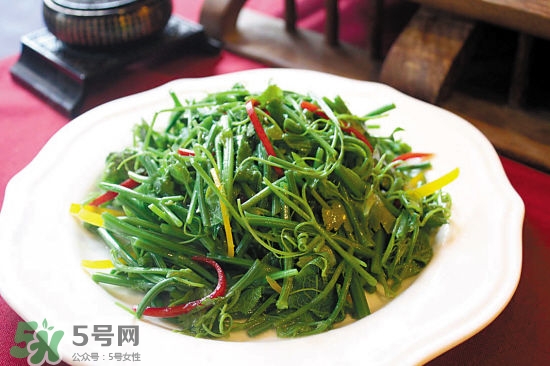 龍須菜是什么菜？龍須菜怎么吃？