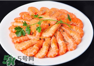 竹節(jié)蝦和基圍蝦哪個(gè)好？基圍蝦貴還是竹節(jié)蝦貴