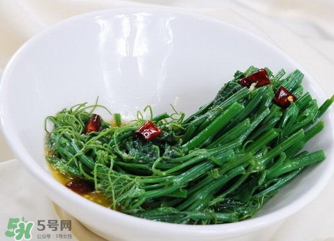 龍須菜是什么菜？龍須菜怎么吃？