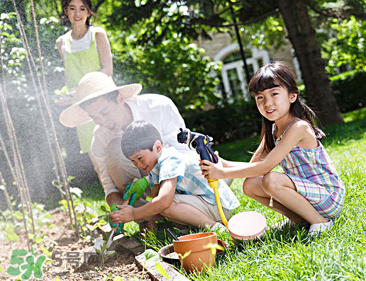 八月份可以種什么菜？八月份適合種植的蔬菜