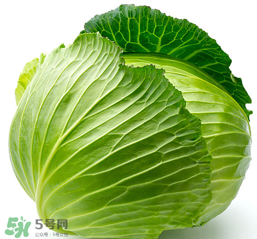 8月份吃什么蔬菜？八月份適合吃什么蔬菜？