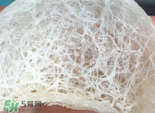 馬來西亞燕窩好還是印尼好？馬來西亞燕窩和印尼燕窩區(qū)別