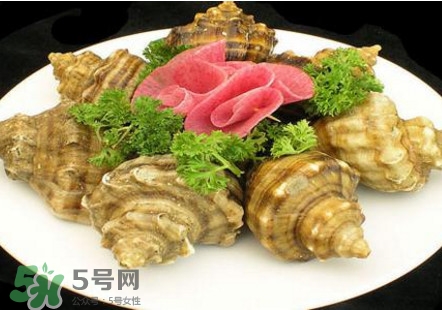 海螺可以冷凍嗎？海螺放冰箱能保存多久