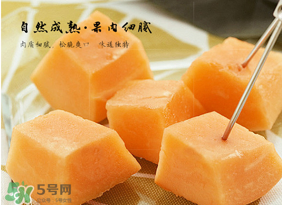 西州蜜瓜什么季節(jié)熟？西州蜜瓜幾月份成熟？
